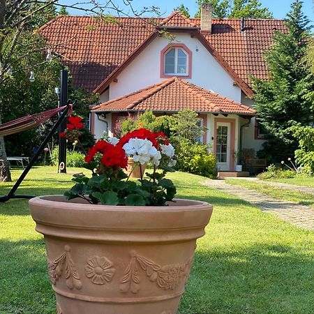 Vila Evio Třeboň Екстериор снимка