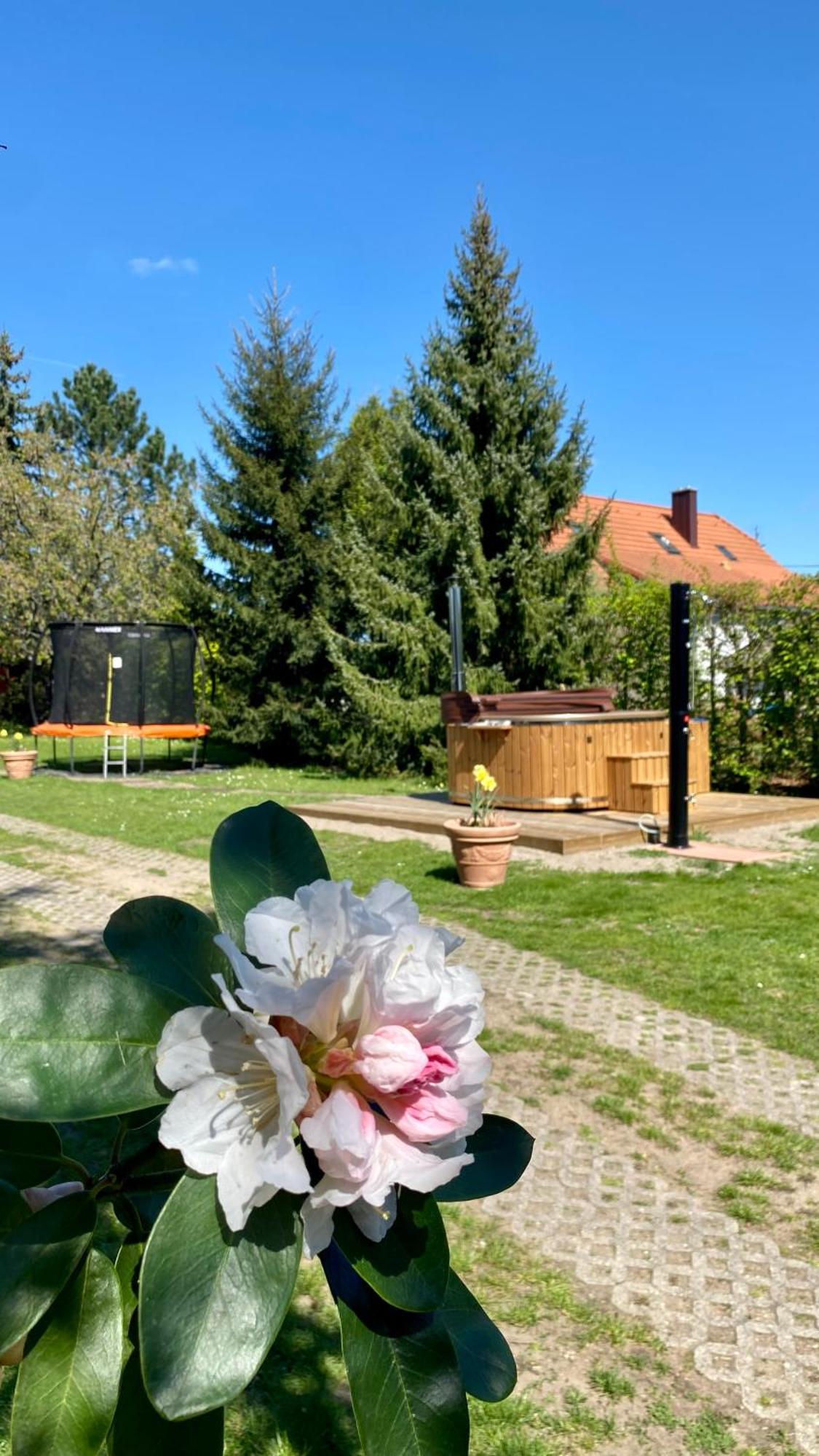 Vila Evio Třeboň Екстериор снимка